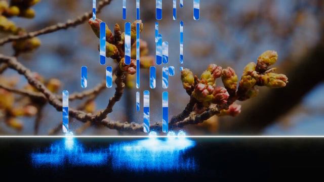 【ピアノ】Amazing Grace/倉本裕基 【Piano】 смотреть онлайн