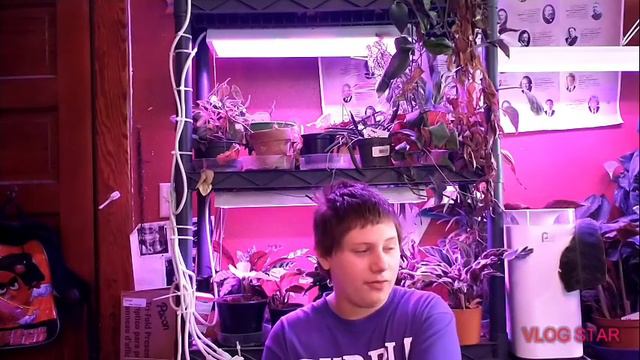 10 Plant With Unstable Variegation смотреть онлайн