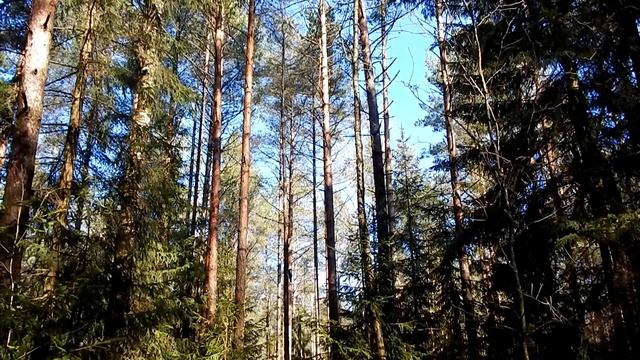 Весеннее утро смотреть онлайн