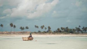 Самая удаленная точка на планете . Точка Немо или Полюс недоступности