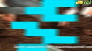 Посадка багульника - как правильно посадить багульник