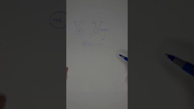 Иерархия в системе, как устроена родовая система, что делать если есть вопросы ? смотреть онлайн