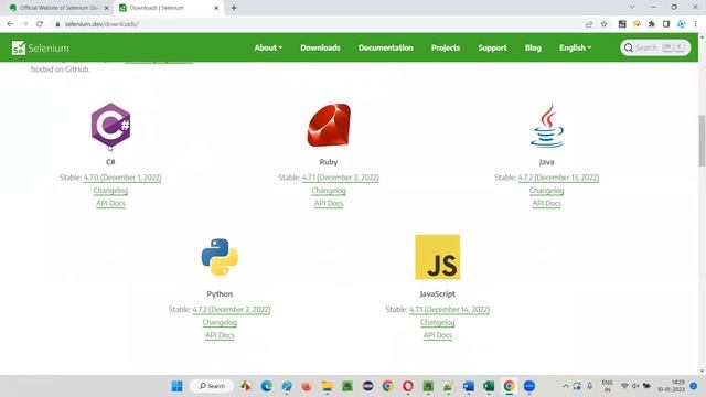 Official Website of Selenium (Selenium Java Biggest Course - Part 7) смотреть онлайн