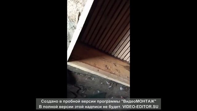 Мега улей на 124 рамки Дадан. Делим его на 2 части. Прослушка пчёл. смотреть онлайн