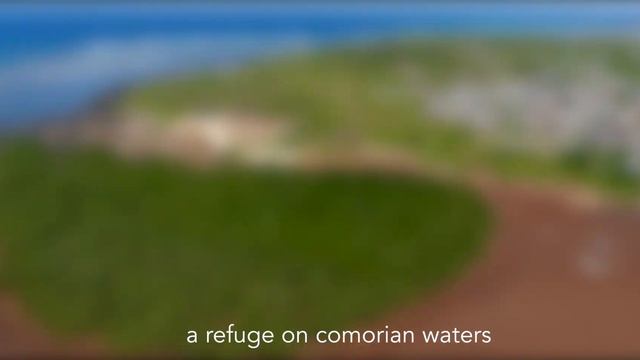 Aires Marines des Comores-Parc Nationaux des Comores смотреть онлайн