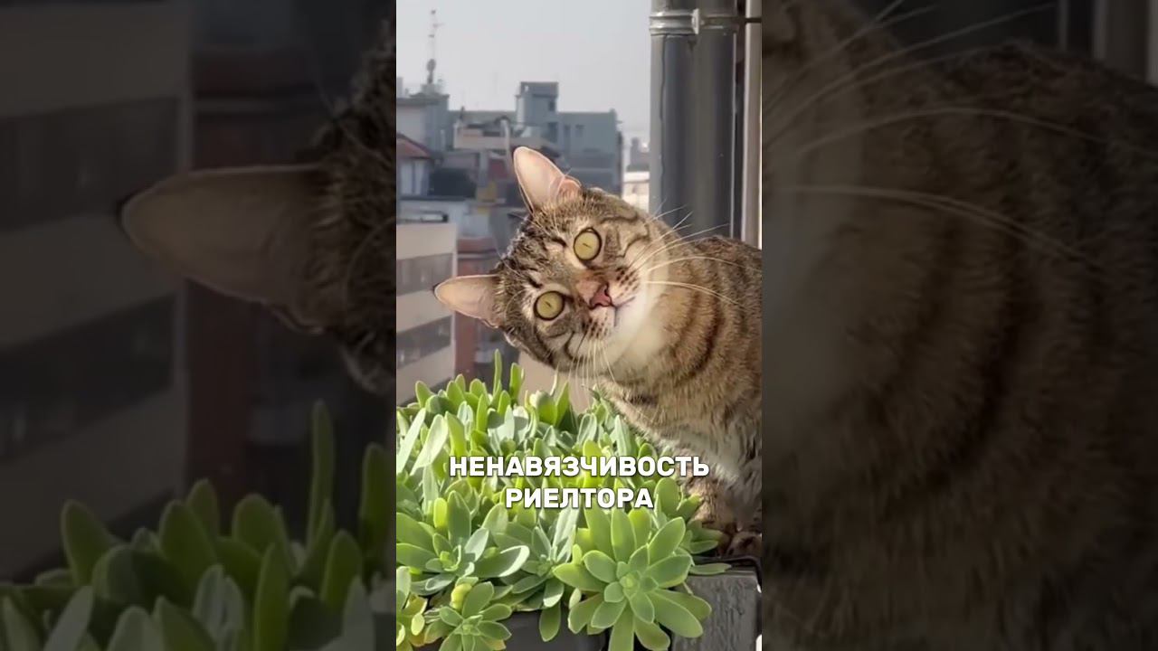 Умение продавать смотреть онлайн