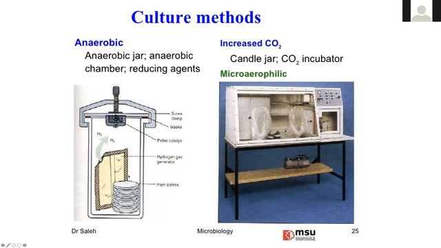 Dietary Patterns in Health and Disease: Feeding our Microbiota - Session 1 смотреть онлайн