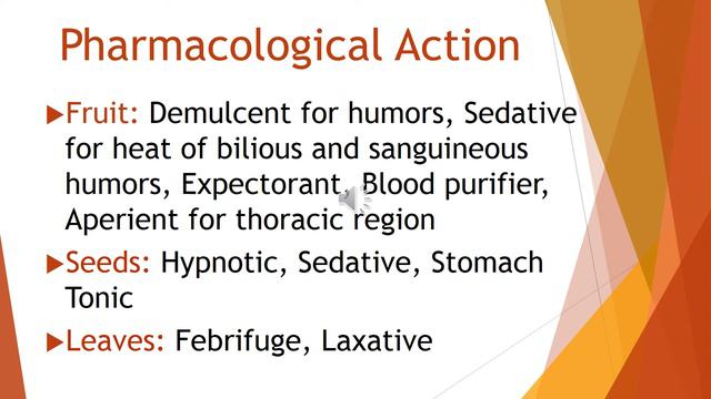 Lecture 18 - Zizyphus vulgaris смотреть онлайн