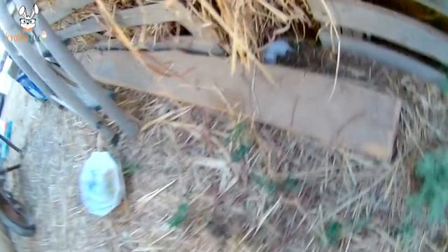 Зачем к нам приезжала ПОЛИЦИЯ? смотреть онлайн