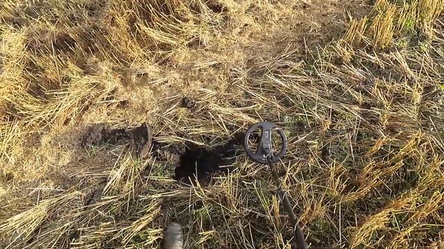 Выбитых урочищ не бывает!Коп с X-Terra 705 смотреть онлайн