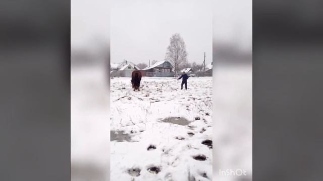 Цыганские лошади город иванова смотреть онлайн