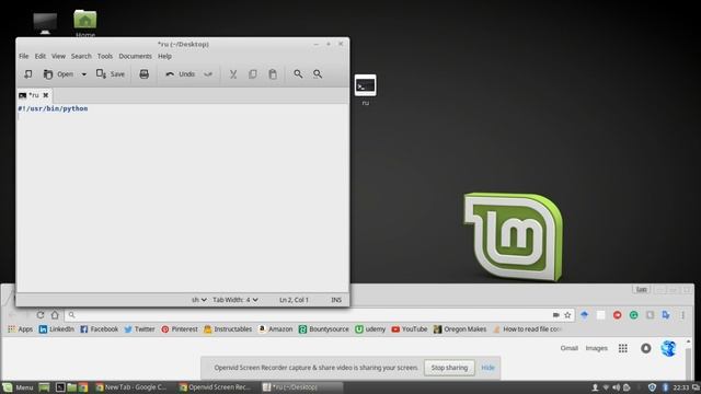 How to declare script files in Linux Mint смотреть онлайн