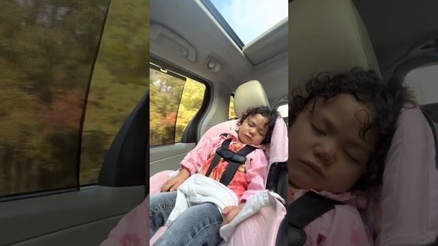 SLEEPING IN THE CAR #cute #asmr #travel #toddler #carride #travelvlog смотреть онлайн
