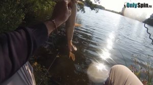 Уловистая проводка воблера Jackall Magallon  #OnlySpin