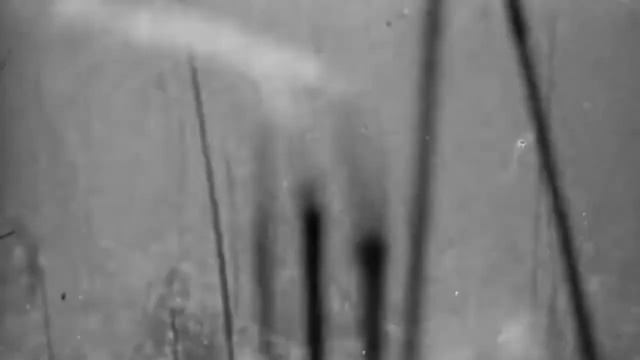 Гибель и возрождение Арала!#гибельарала#возрождение арала#арал