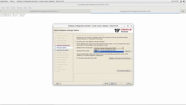 Oracle 19c Installation : Part-7 Database installation and configuration смотреть онлайн