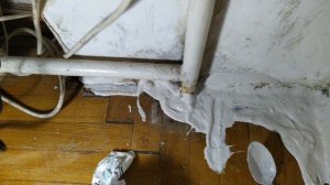 ОТ КУДА ПОПАДАЕТ МУХА-БАБОЧНИЦА В КВАРТИРЫ???