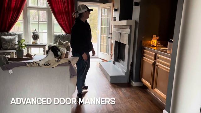 Moxie, 5YO Sharpei Mix - 2 Week Board and Train Before and After Video смотреть онлайн