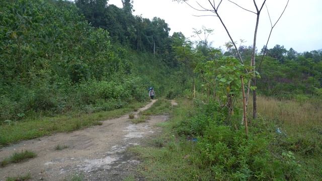 Amazing Harvesting Fish After Flood With Nets - Goes To The Village To Sell Fish - Farm Life