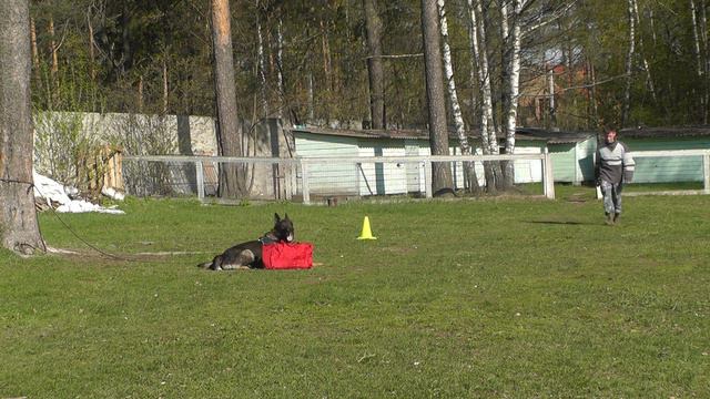 Чемпионат Московской области 2016 г. по ОКД и ЗКС. смотреть онлайн