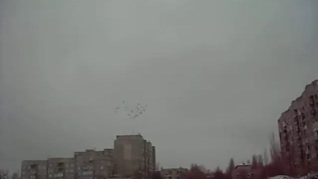 Голуби в полёте (Стаханов) смотреть онлайн