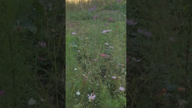 Уходит ЛЕТО тихо, безвозвратно... смотреть онлайн