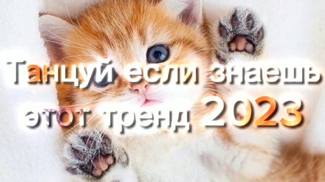 ??Танцуй если знаешь этот тренд 2023 года! НОВЫЕ Тренды для Тебя и твоих друзей!!!!?? смотреть онлайн