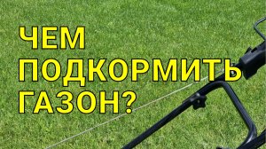 бесплатная и самая лучшая подкормка для газона