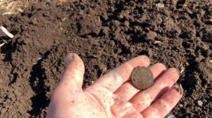 Коп монет 2023. Шурф фундамента 2023.