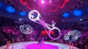 #Длинновлог Московский цирк Никулина | Обязательно смотреть вживую!