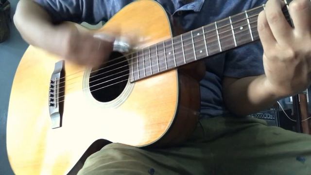 acoustic guitar takamine D50 dragon series смотреть онлайн