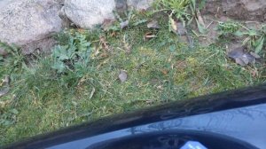 Краткий обзор Ауди А6 С5 2.5TDI перед продажей