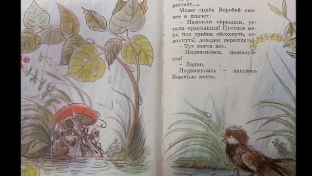 В Сутеев Под грибом