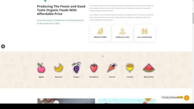 Leganic - Organic and Food Store WordPress Theme food and organic food woocommerce themes Ayashiro смотреть онлайн