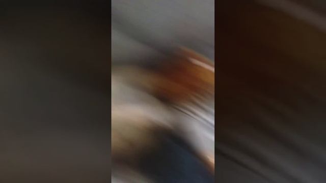 делаем с Денисом татуировки которые быстро стираются переводные смотреть онлайн