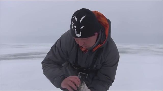 Ловля на японские ратлины Madness смотреть онлайн