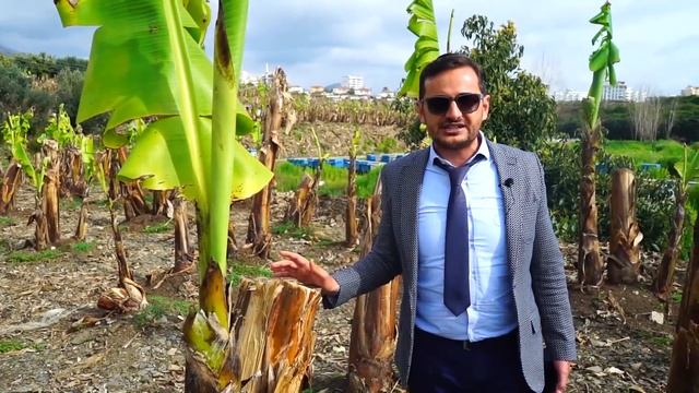 ПРЕДЛАГАЕМ КУПИТЬ ТРЕХКОМНАТНУЮ КВАРТИРУ В АЛАНИИ В ЦЕНТРЕ РАЙОНА МАХМУТЛАР ОТ АГЕНТСТВА ARBATHOMES