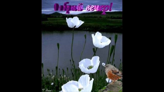 добрый вечер Тутси Падали Звезды смотреть онлайн