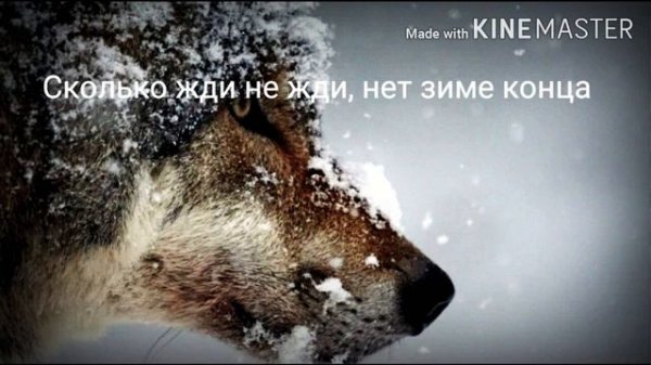 Натали: Судьба такая