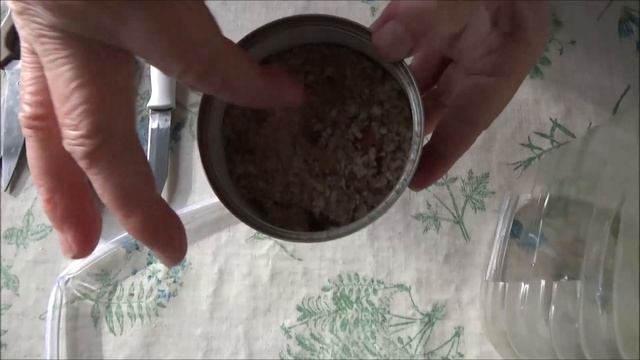 Бабушка делает КОРМУШКИ для ПТИЦ из подручных средств за 5-ть минут смотреть онлайн