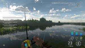 Fishing planet. Эверглэйдс: Трофейный Басс II: Силиконка Червь. Охота на Горбыля: Животные наживки.