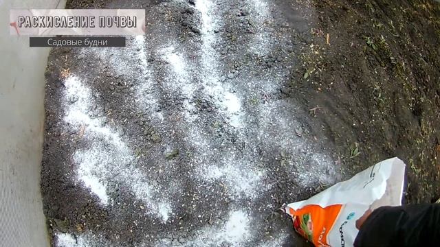 Раскисление почвы доломитовая мука применение видео смотреть онлайн