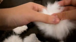 DIY Подушка из меха своими руками!!!