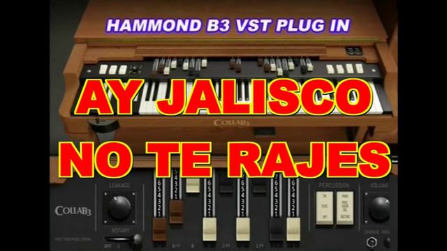 AY JALISCO PLAYED WITH ROLAND E600 AND HAMMOND B3 VST PLUG IN смотреть онлайн