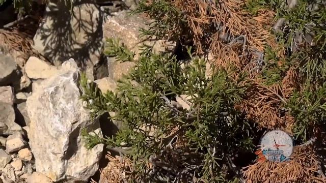 What is Geocaching? смотреть онлайн