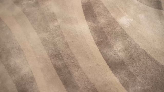 Spread THAT on your Carpet and WATCH WHAT HAPPENS 💥 (Suprising) 🤯 смотреть онлайн