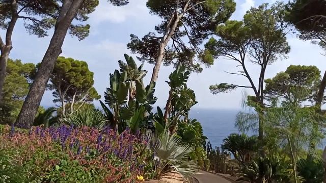 Ботанический сад Кап Роч, (Jardins de Cap Roig). Историческая правда о красоте! смотреть онлайн