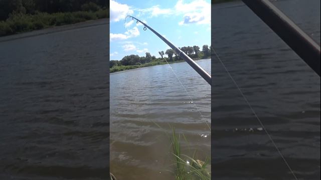 ПОКЛЁВКА С ЛЁТА. ХОРОШАЯ ПЛОТВА. смотреть онлайн