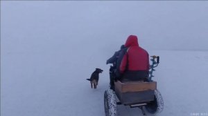 Трицикл из мопеда Альфа а зачем он нужен