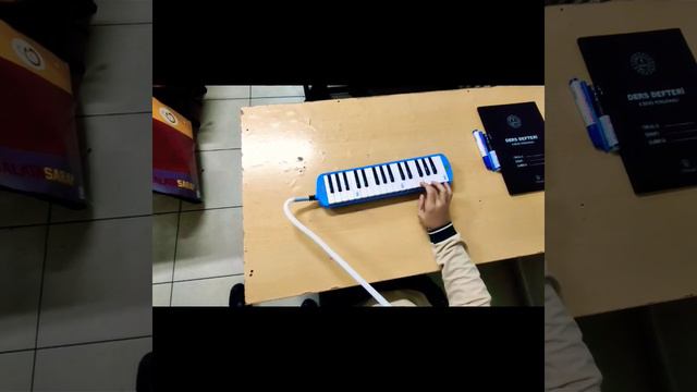 Fairytale melodika (Sınıf etkinlikleri) смотреть онлайн